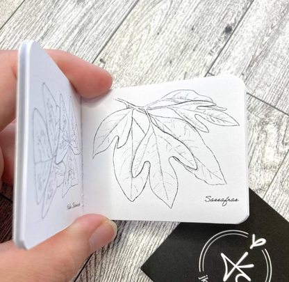 Pocket Sized Coloring Book- Plants
