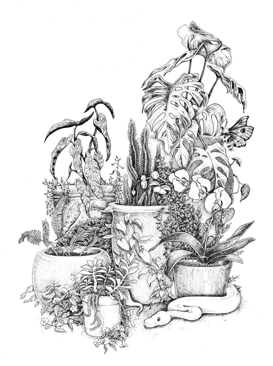 The Plant Lady Print