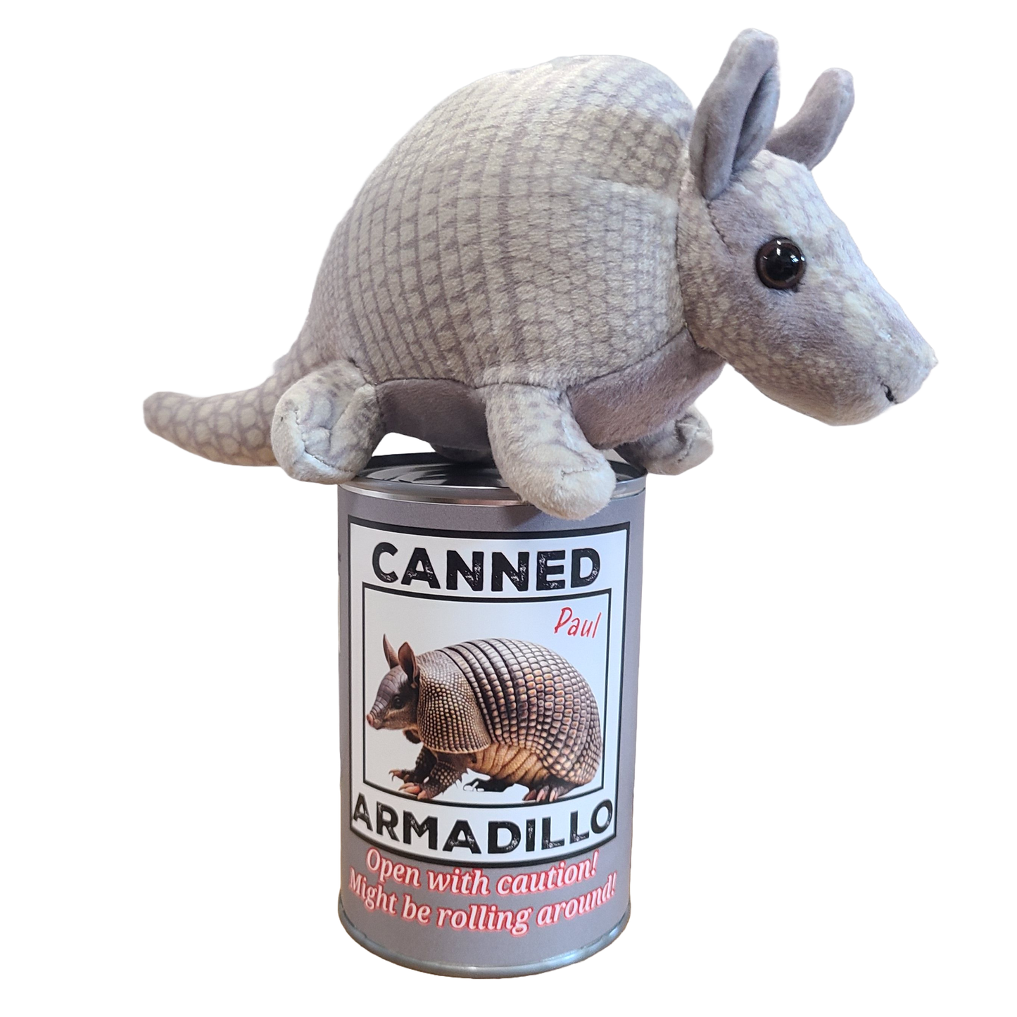 Canned Armadillo