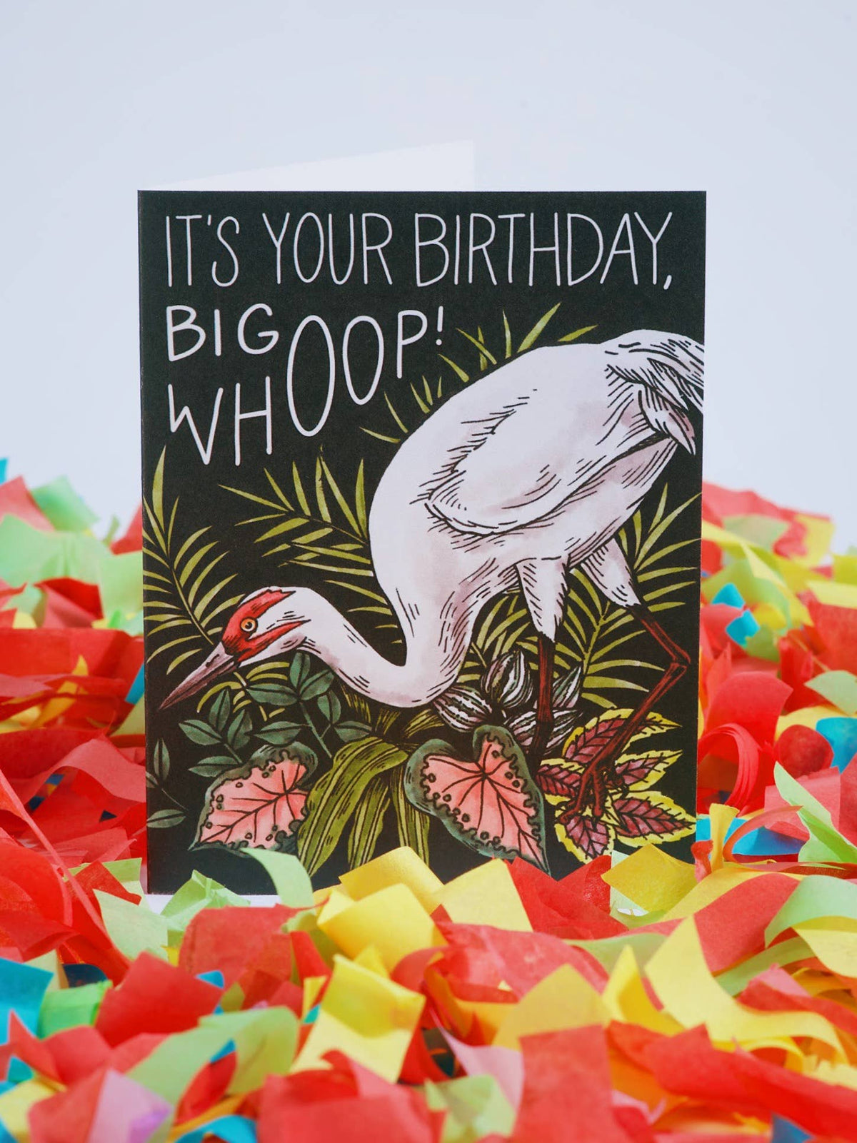 It's Your Birthday, Big Whoop! Card