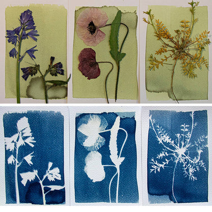 Cyanotype Kit – DIY kit to make blueprints / sun prints
