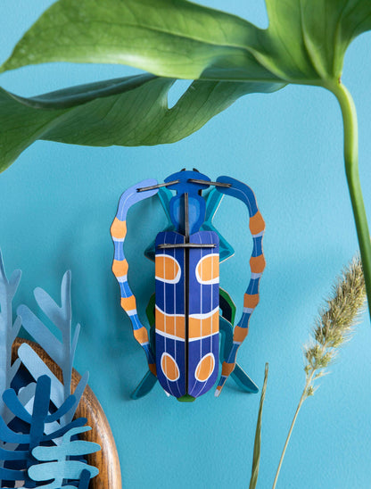 3D Wall Art - Insect - Rosalia Beetle