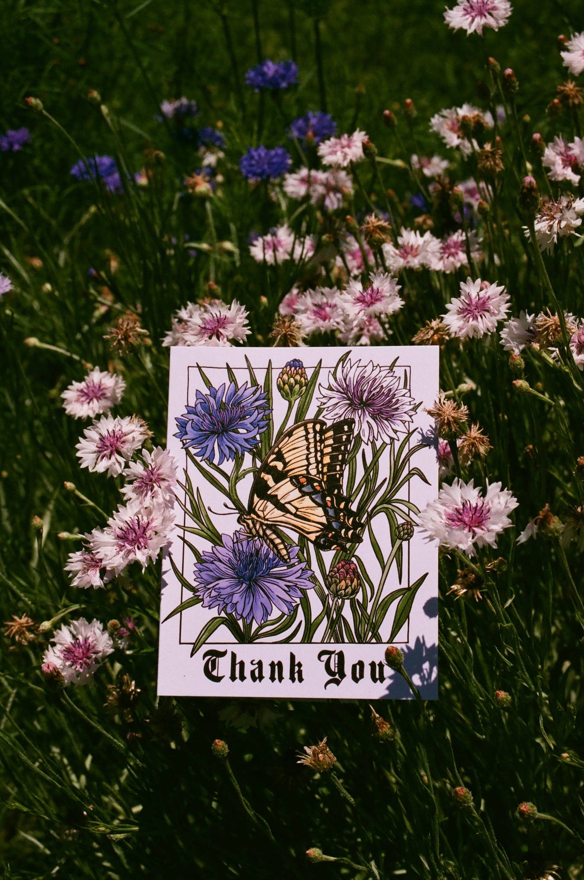 Thank You Butterfly Card