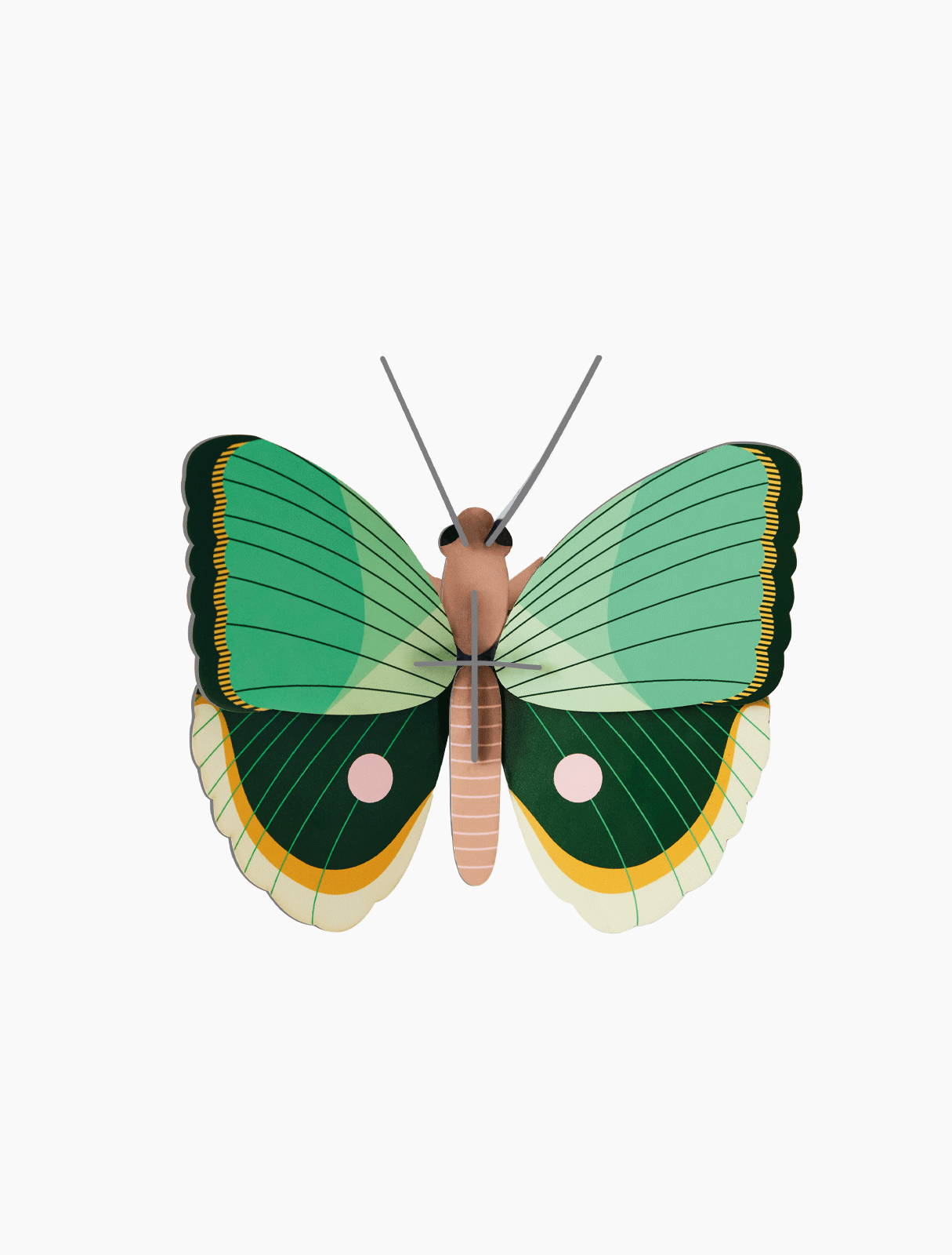 3D Wall Art - Butterfly - Fern Striped Butterfly