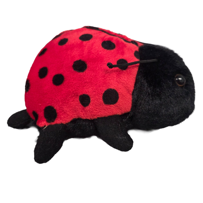 Canned Ladybug