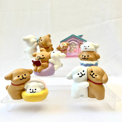 Puppy Blind Box