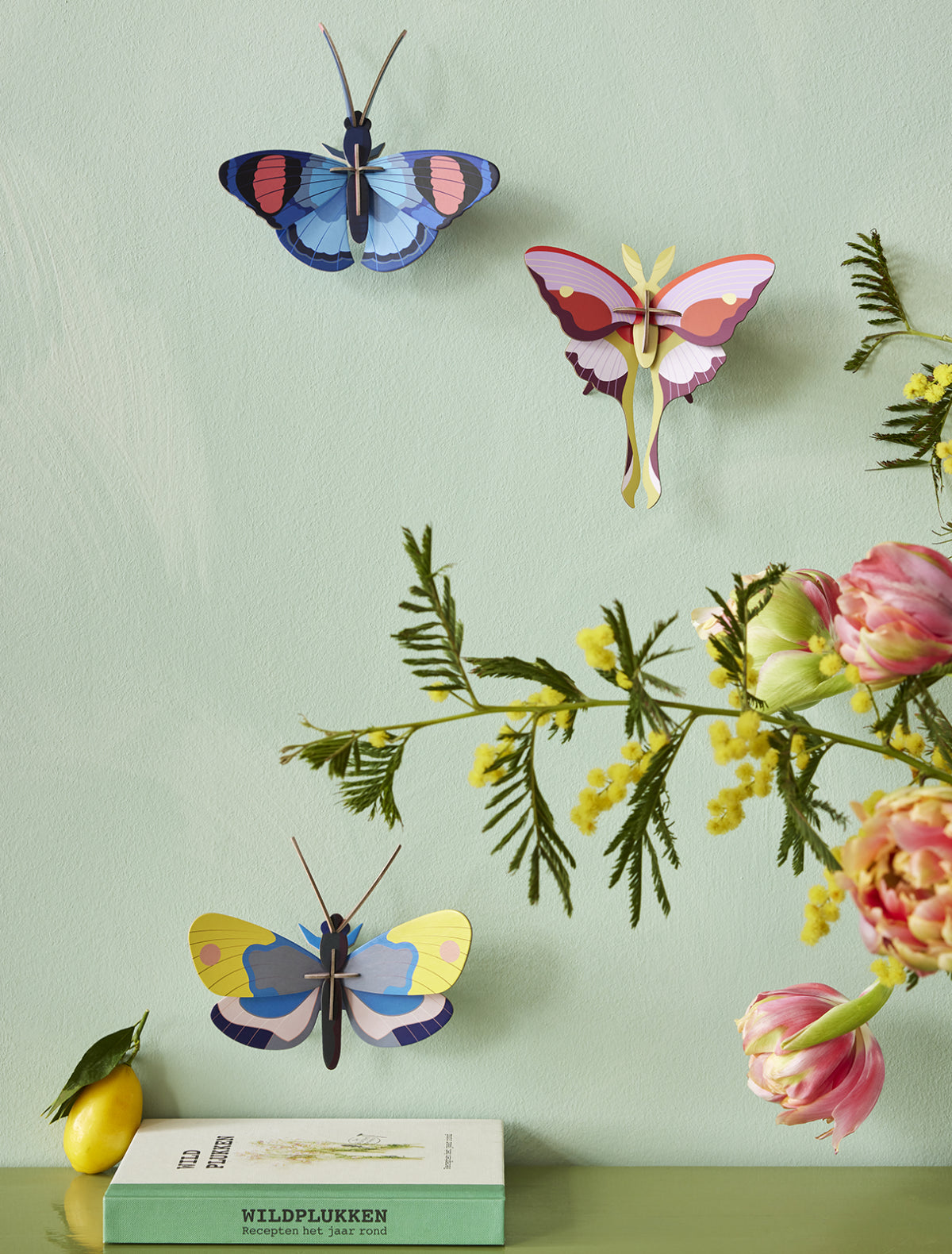 3D Wall Art - Butterfly - Peacock Butterfly