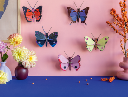 3D Wall Art - Butterfly - Luzerne Butterfly