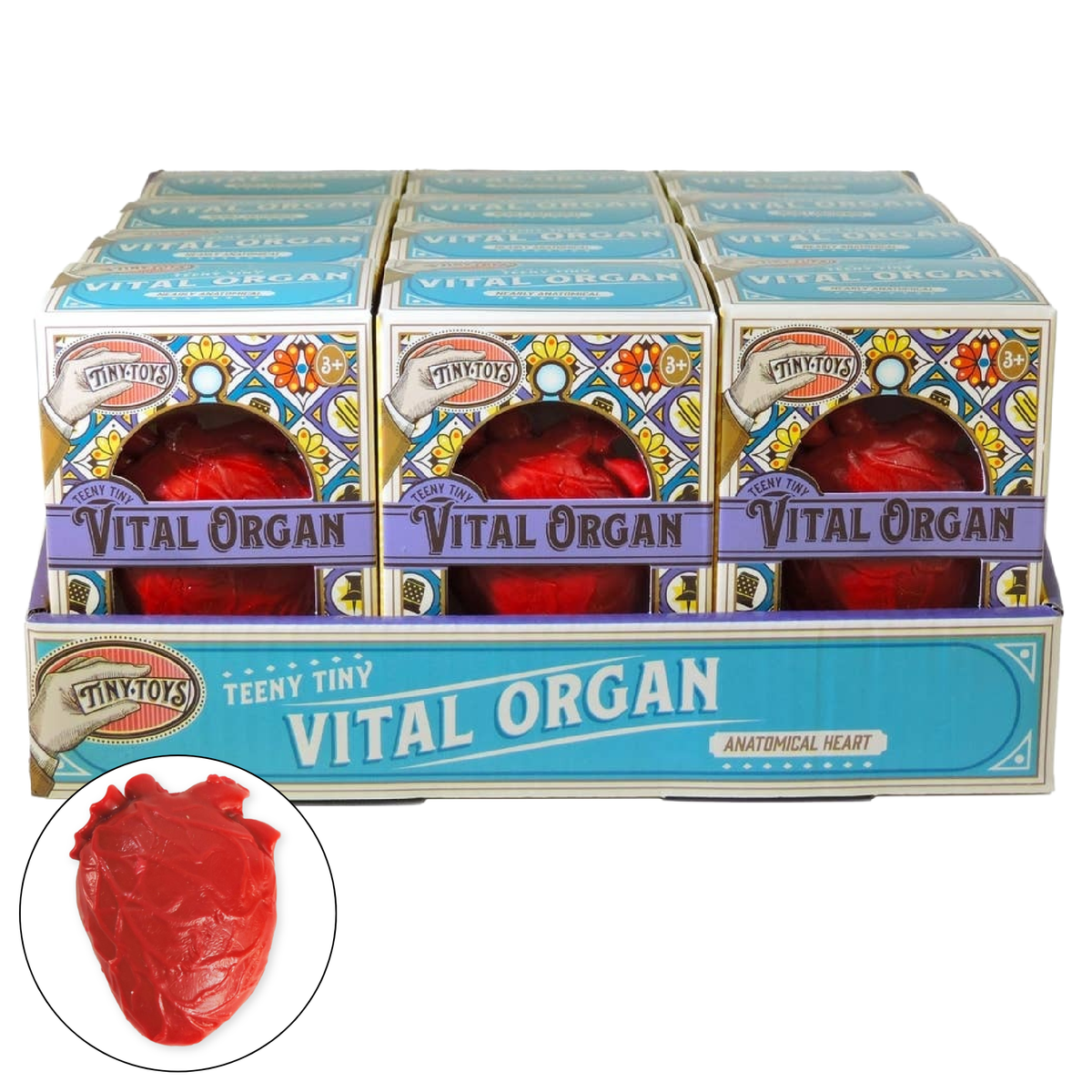 Tiny Toys - Teeny Tiny Vital Organ (squishy toy)