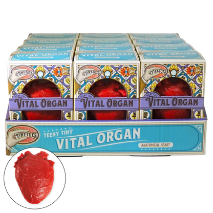 Tiny Toys - Teeny Tiny Vital Organ (squishy toy)