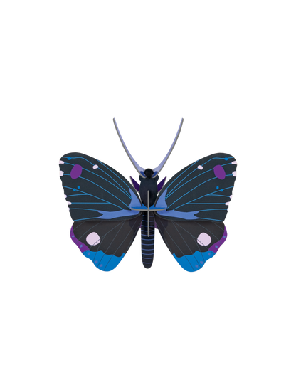 3D Wall Art - Butterfly - Blue Diadem Butterfly