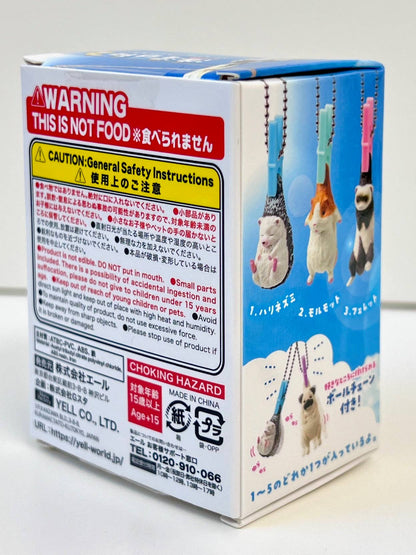 Hanging Washing Animals Blind Box