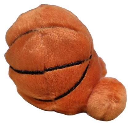 Jordan the Canned Basketball