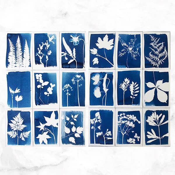 Cyanotype Kit – DIY kit to make blueprints / sun prints