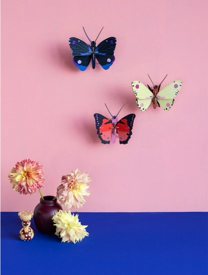 3D Wall Art - Butterfly - Luzerne Butterfly