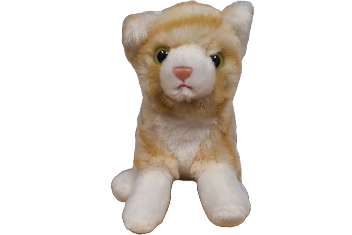 Canned Orange Tabby Cat