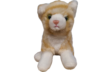 Canned Orange Tabby Cat