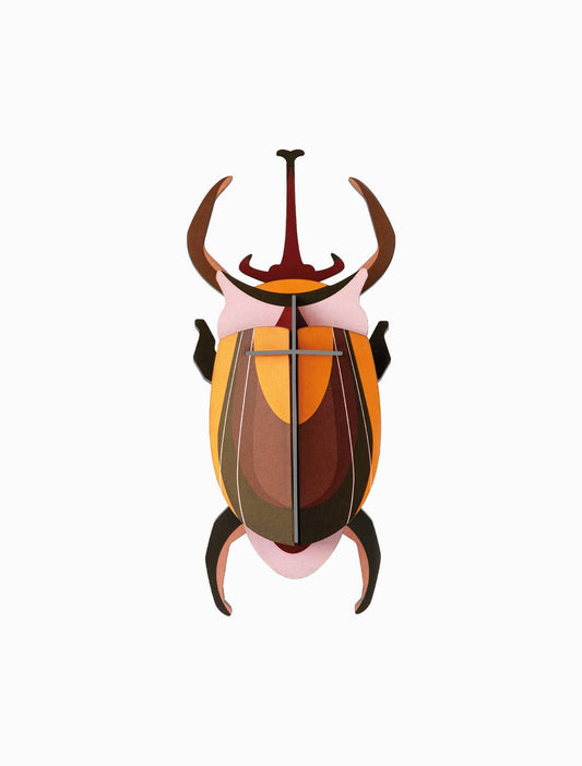 3D Wall Art - Insect - Elephant Beetle