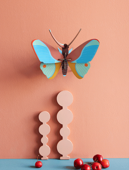 3D Wall Art - Butterfly - Claudina Butterfly