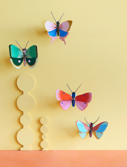 3D Wall Art - Butterfly - Fern Striped Butterfly