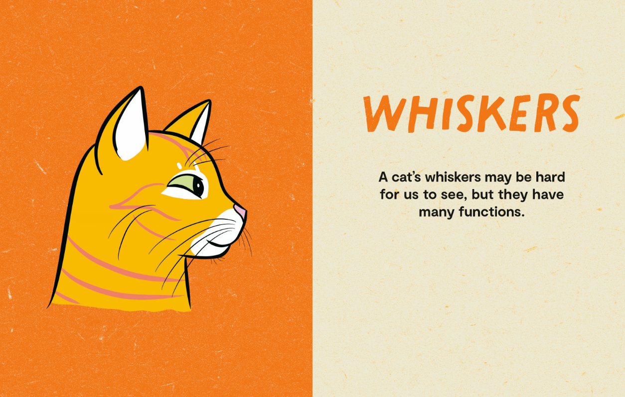 Kitty Language