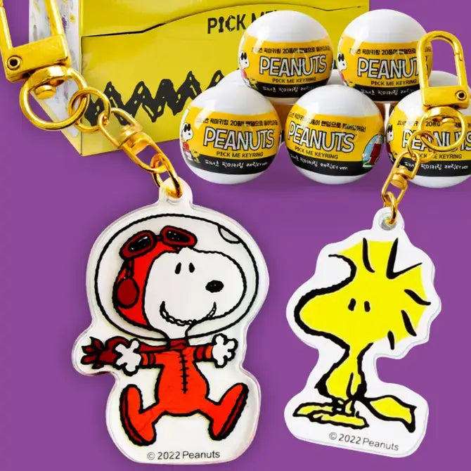 Peanuts Snoopy & Friends Random Key Chain