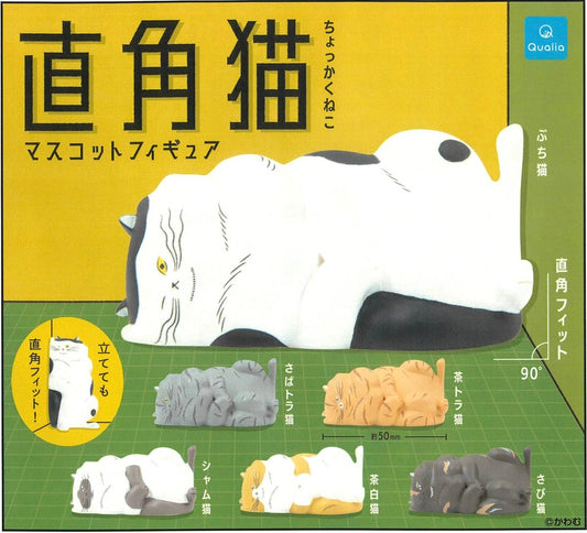 Square Cat Figurine Capsule