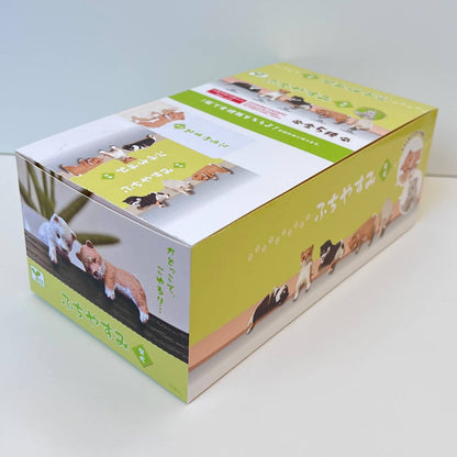 Playful Hanging Shiba Blind Box