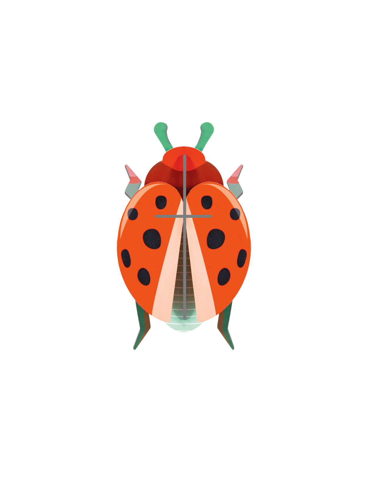 3D Wall Art - Beetles - Coccinelle Rouge