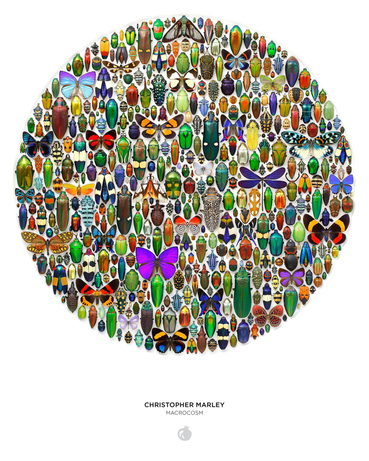 Christopher Marley: Macrocosm 500-Piece Circular Jigsaw Puzzle
