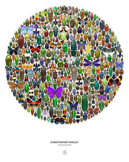 Christopher Marley: Macrocosm 500-Piece Circular Jigsaw Puzzle