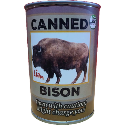 Liam the Canned Bison