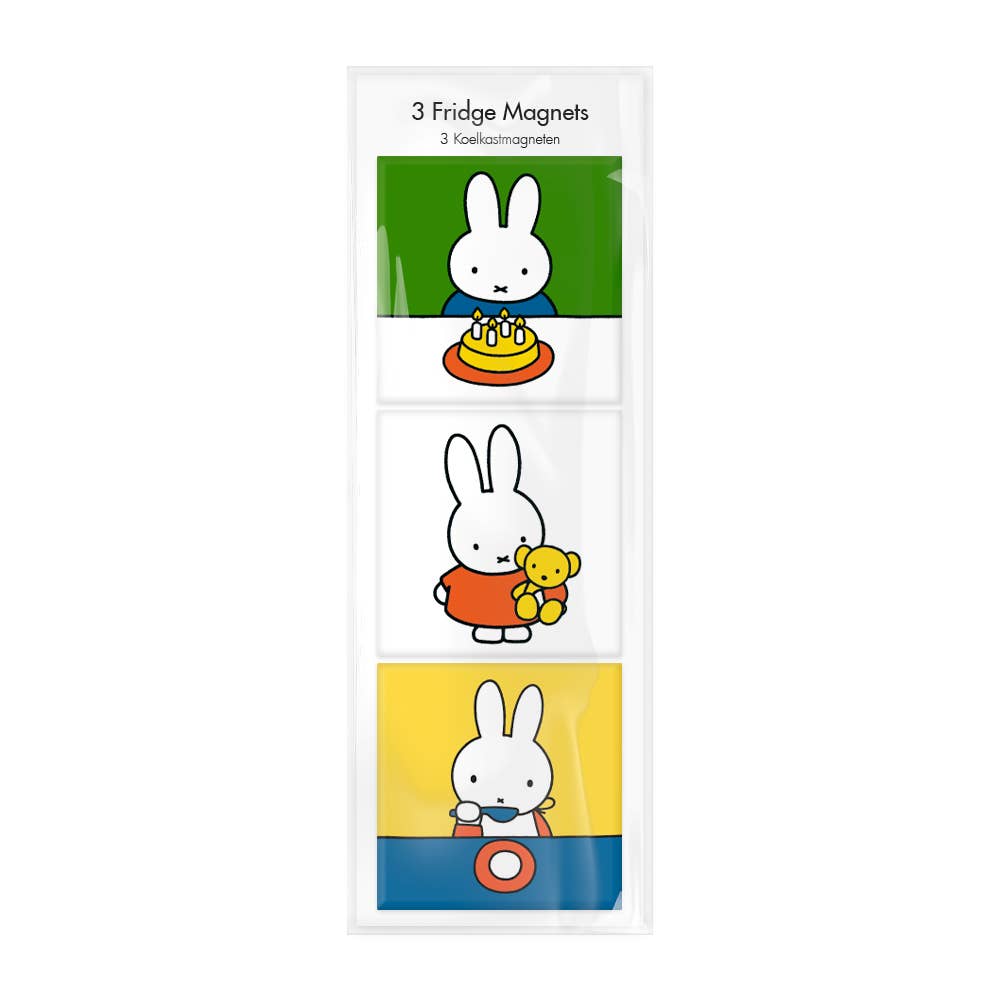 Magnet Set of 3 - Miffy Home