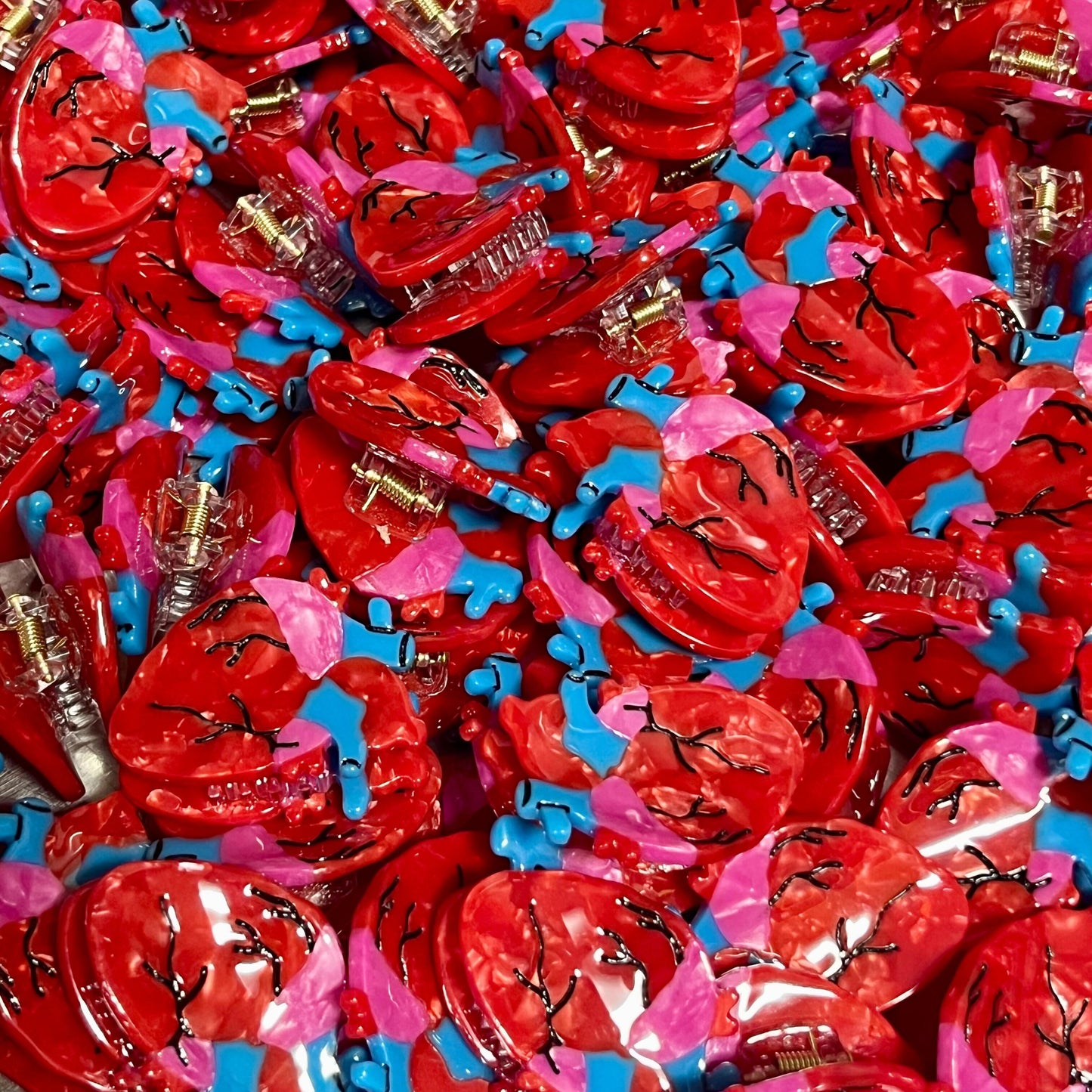 Anatomical Heart Mini Claws (2-pack)