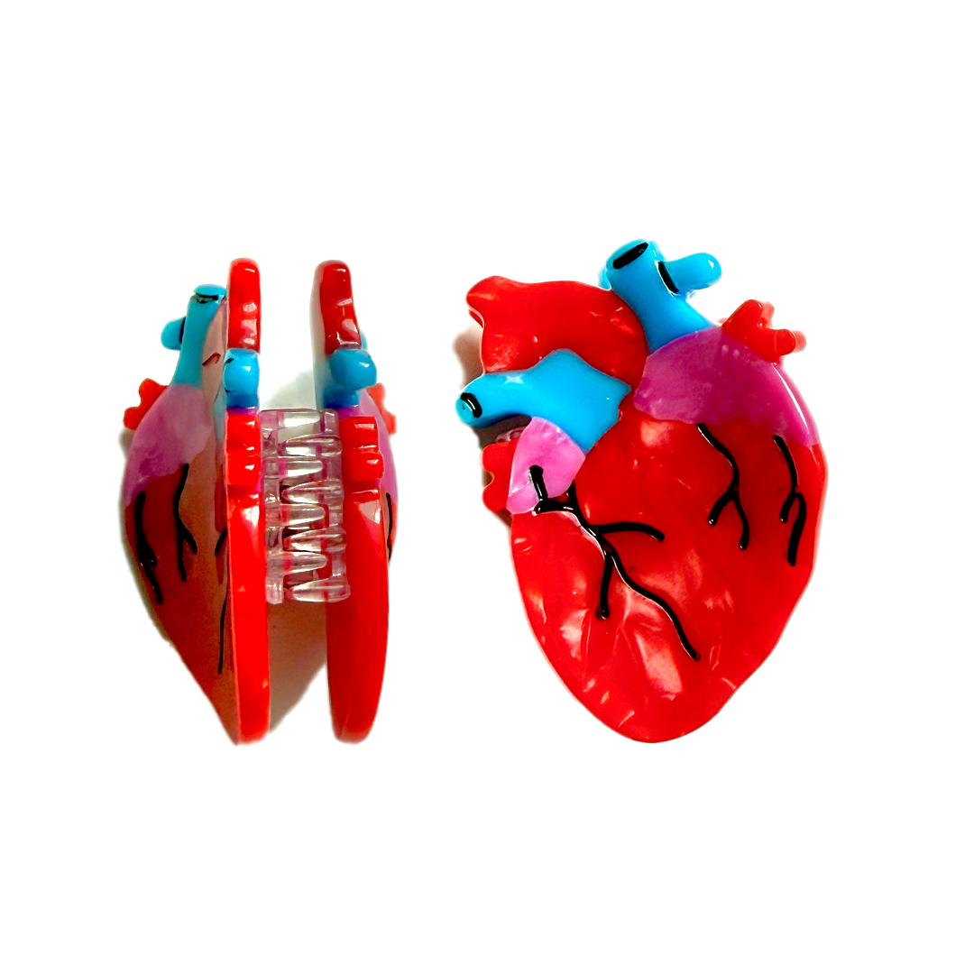 Anatomical Heart Mini Claws (2-pack) PREORDER
