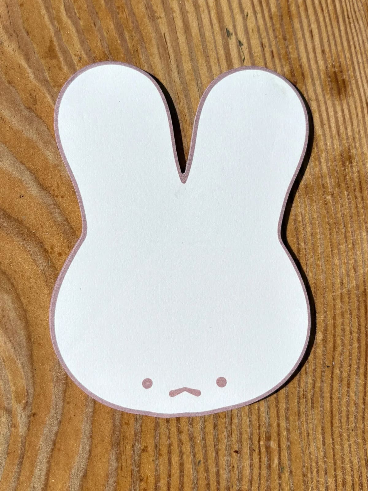 Funny Bunny Memo Pad