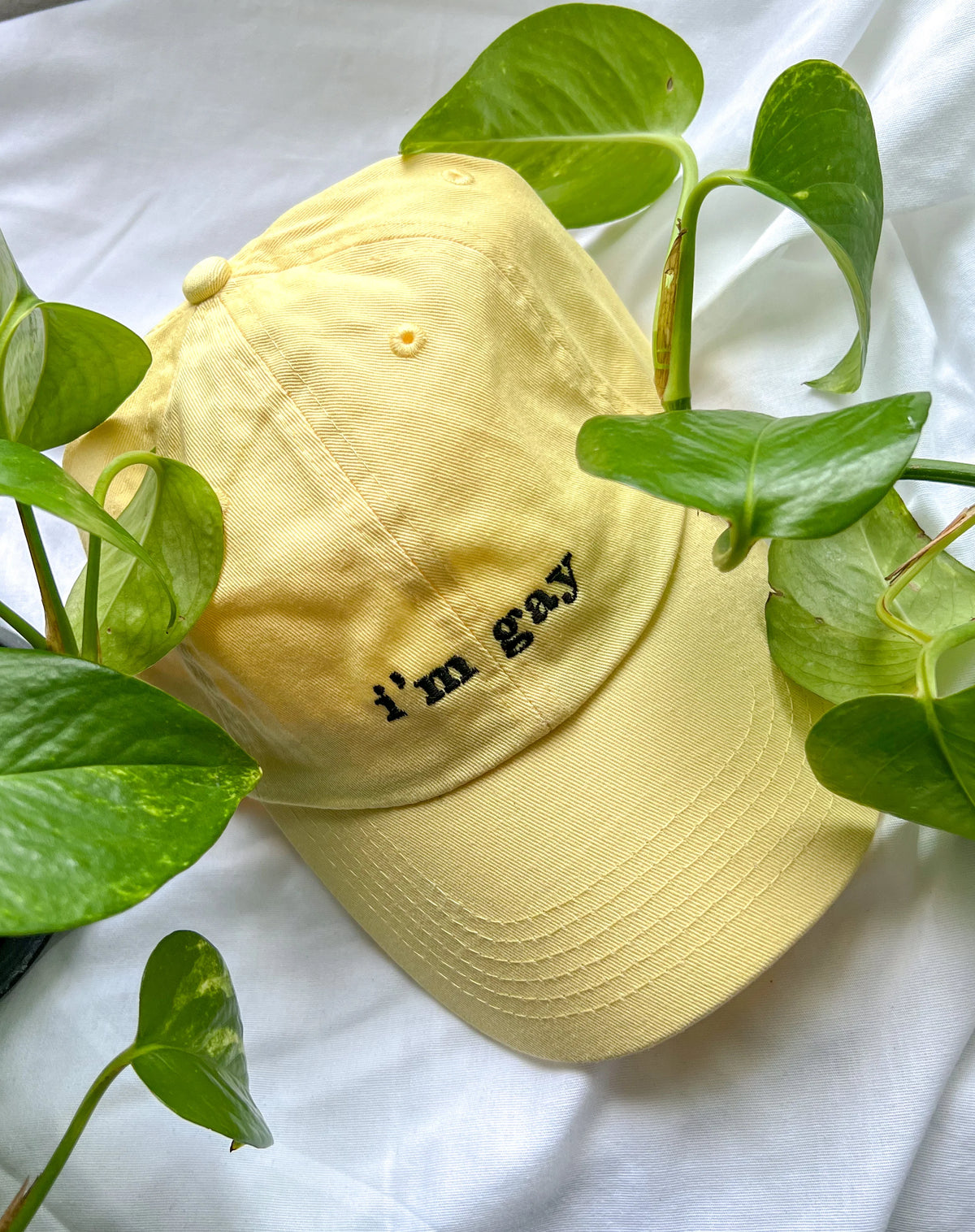 I'm Gay Cap