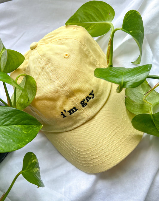 I'm Gay Cap