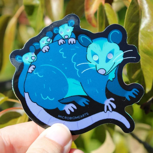 Nighttime Opossums Sticker