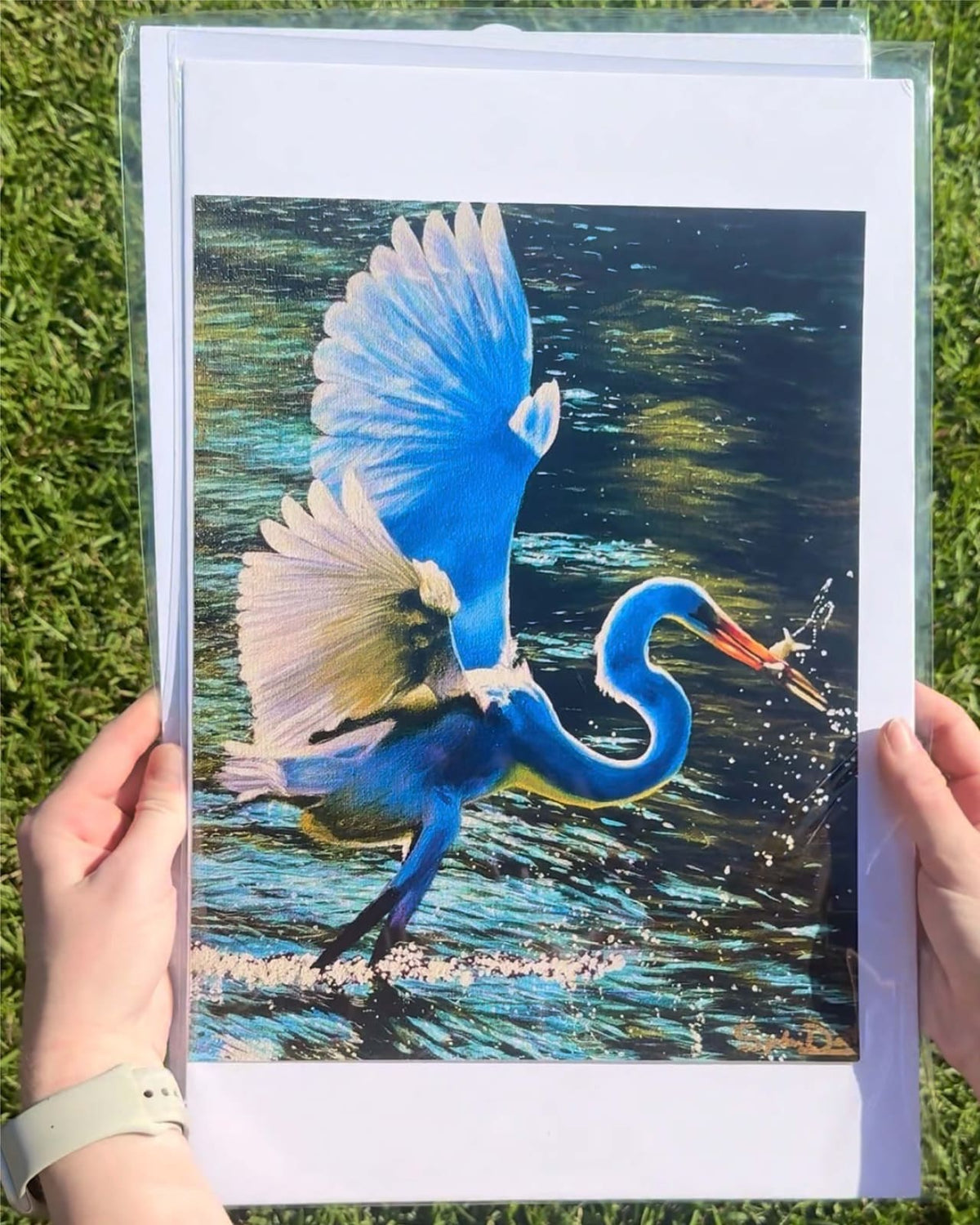 "Catch of the Day" Print
